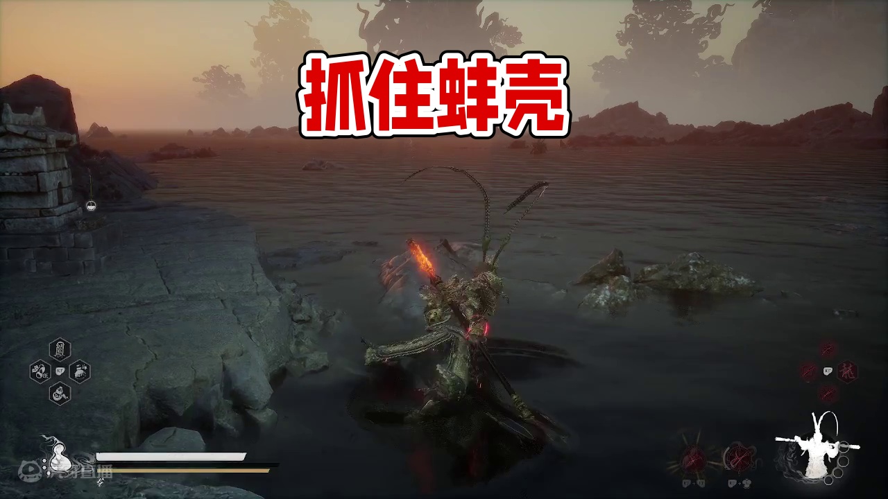 蚌住