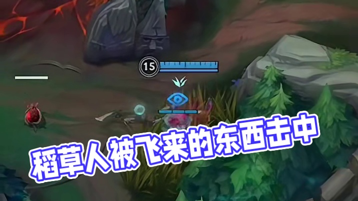 稻草人：什么东西飞了过去?