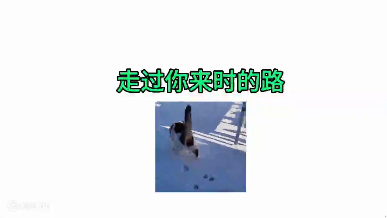 送给这两天在股市的你,希望你早日回归dota#dota#股市