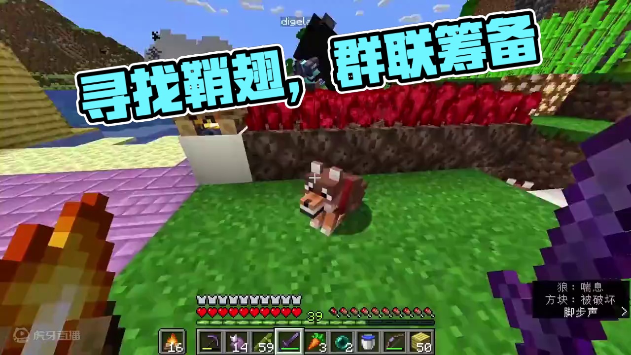 我的世界1.21第30期：连续找到4个鞘翅，功德圆满人手一个 #我的世界 #MC #迪哥闯世界 #联