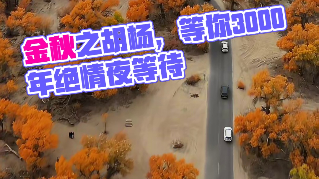 不见胡杨，不知金秋之壮阔，不识胡杨，不知生命之辉煌！生千年不死，死干年不倒，倒干年不腐。这就是胡杨林