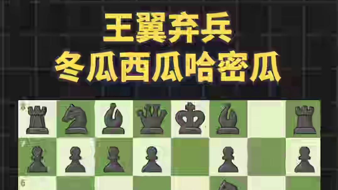 王翼弃兵：冬瓜西瓜哈密瓜 #国际象棋 #国际象棋苏苏
