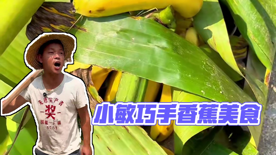 今天不知道哪个天杀的把我家的香蕉树撞断了  幸好小敏把香蕉做成了美食#农村美食 #乡村味道 #忘不了