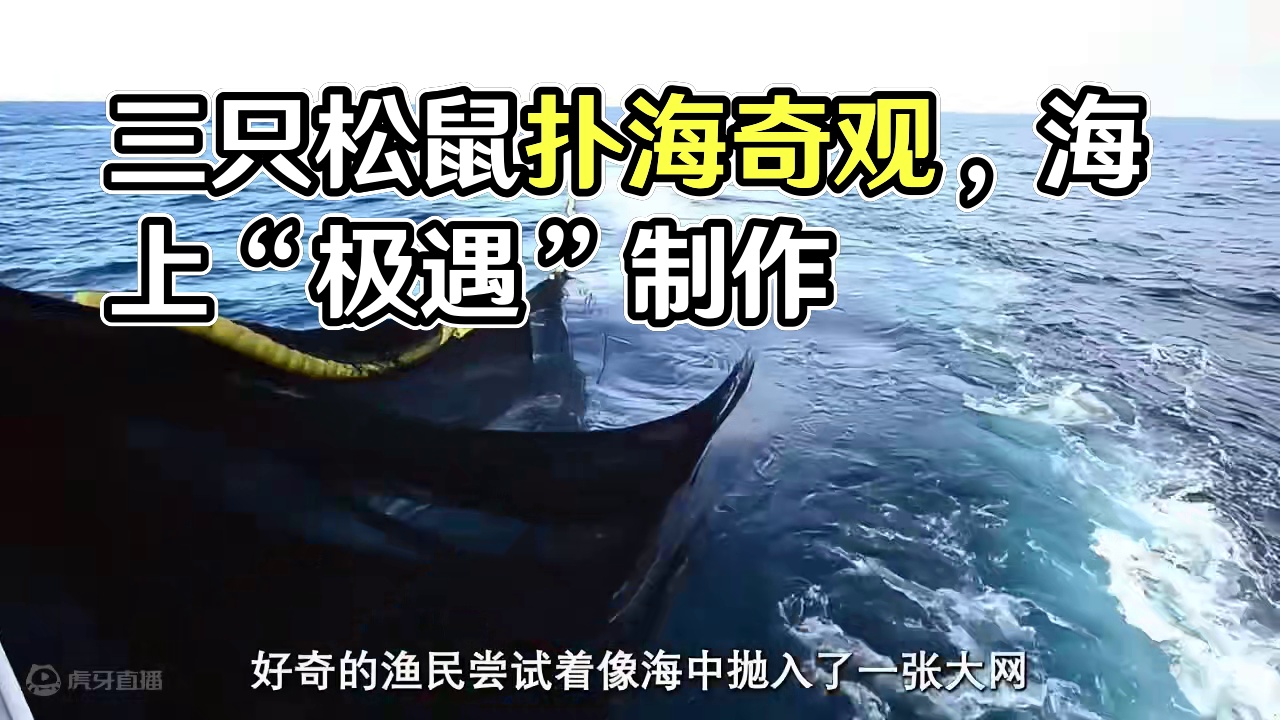你们卷是吧，我三只松鼠也得卷，到手50包也才这个价#三只松鼠 #小鱼仔 #鳀鱼 #制作过程