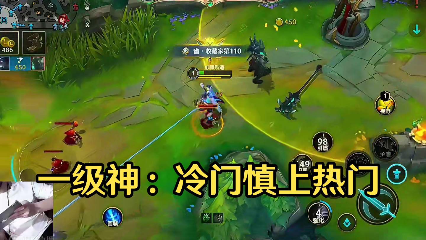 虽然冷门 但你一级就是神