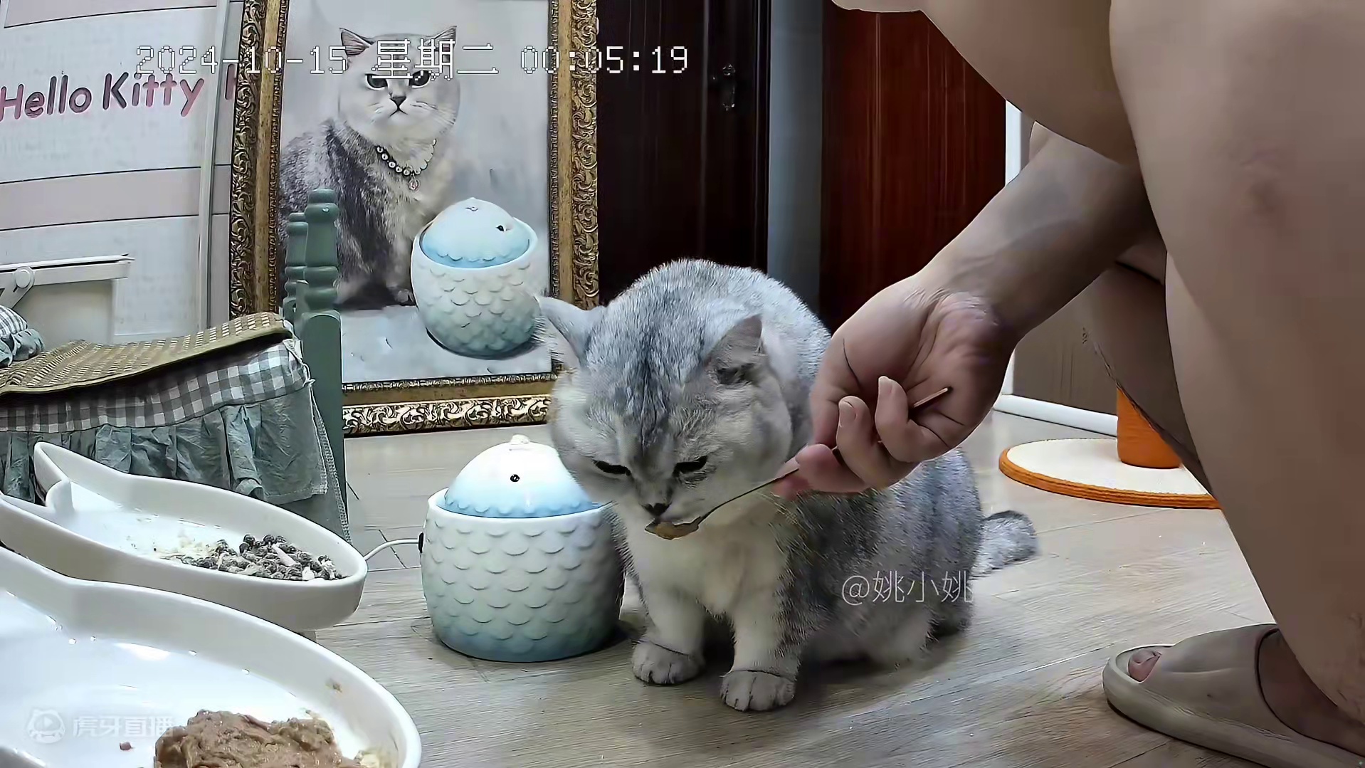 没水喝了，阿蛋跟老登一起去打怡宝 #情绪稳定的猫咪 #快来看猫咪睡觉