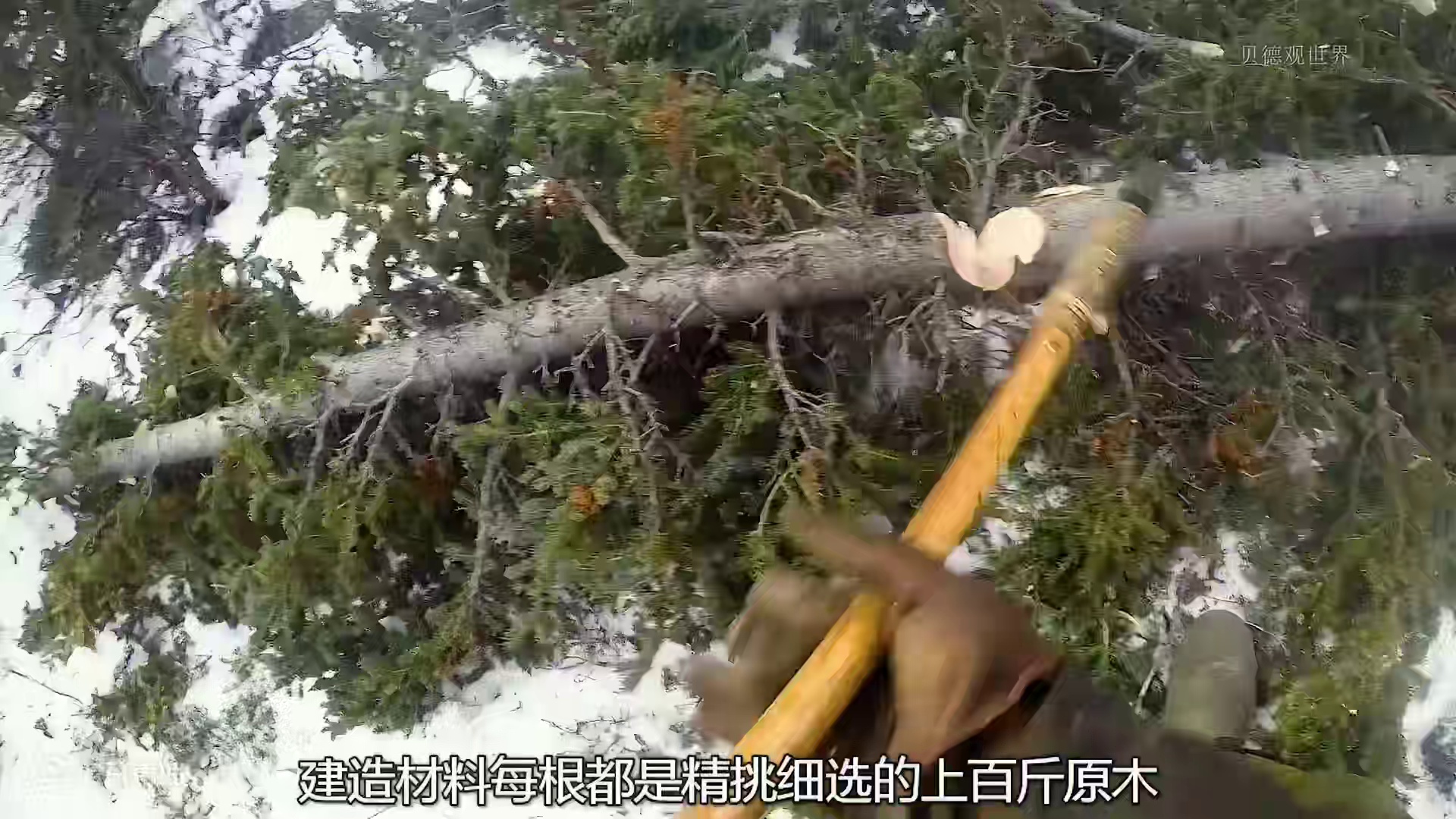 看完罗兰的夺冠之路  (4)