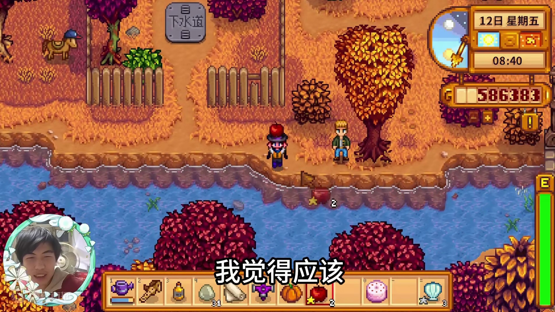 【星露谷物语】过周末！