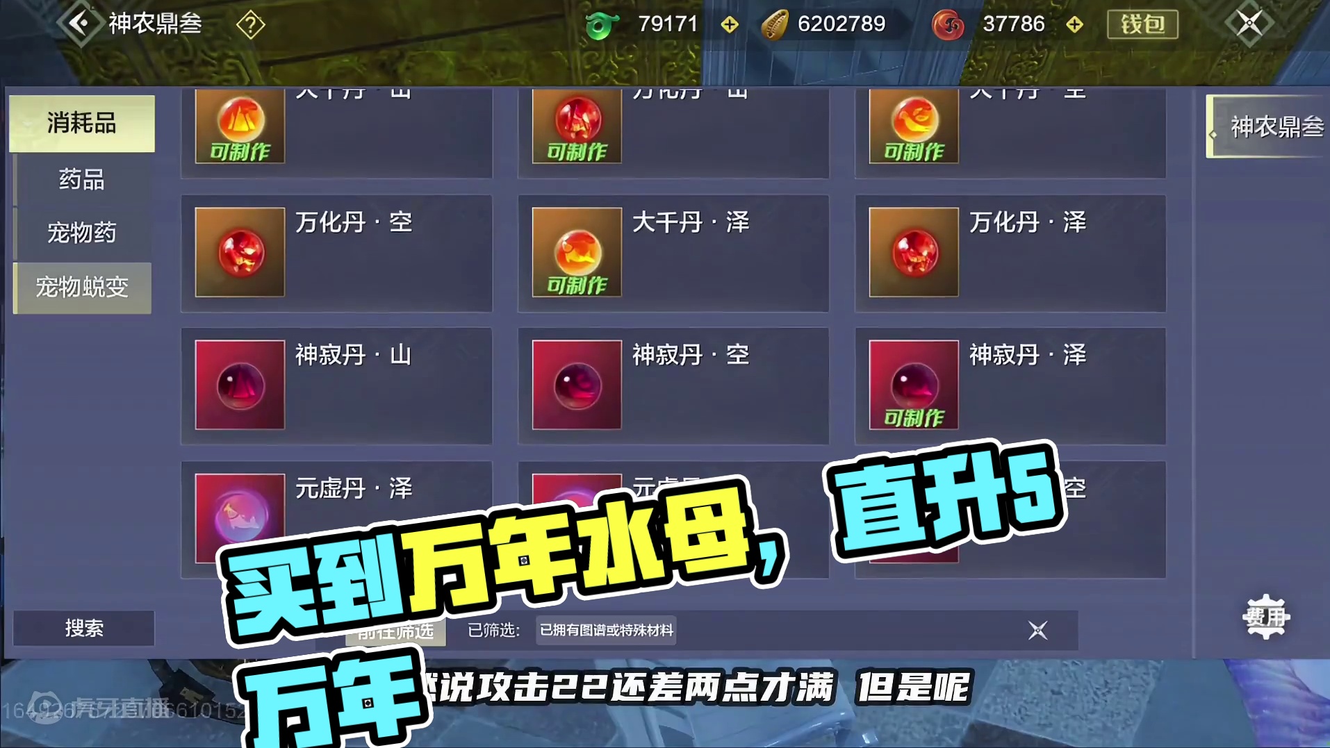 终于买到万年水母了！必须直接进化到五万年看看