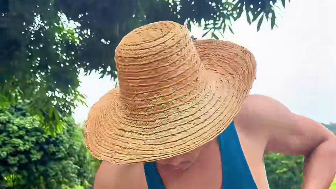 山村厨神教 你做一道广西农村版的卤香鸡 带你体验不一样的美食 #我的乡村美食记忆 #农村生活#乡村味