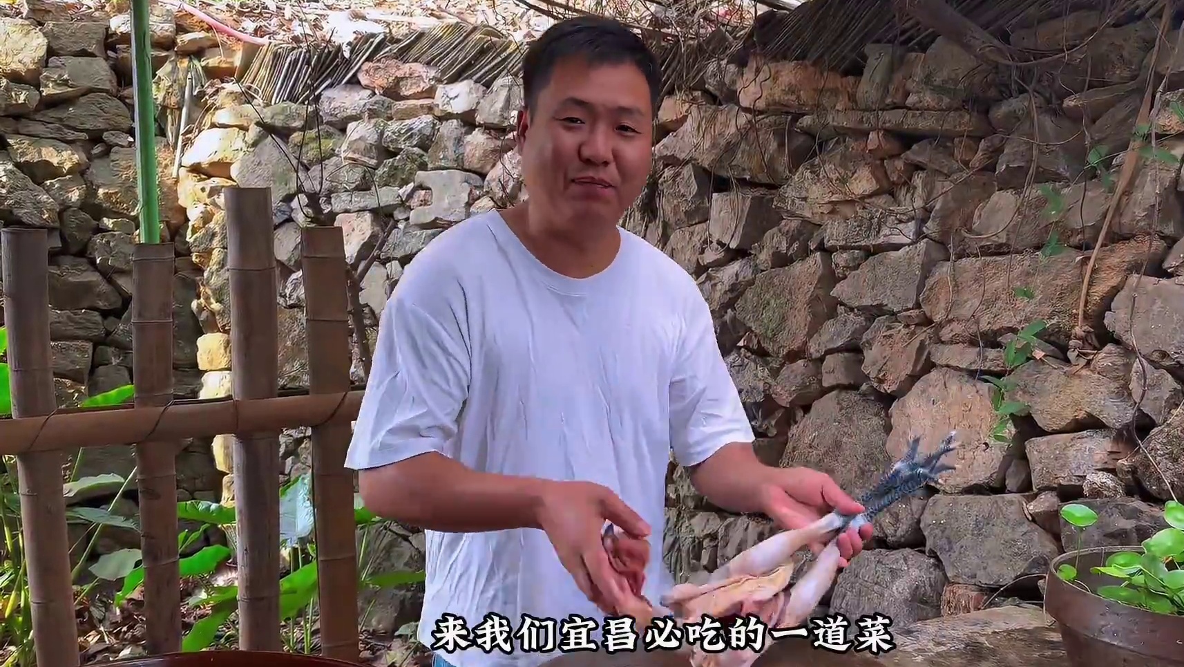 徒手抓鸡做郭场鸡，哥俩抢着吃鸡大腿，吃爽了！ #新农人计划2024 #农村美食 #