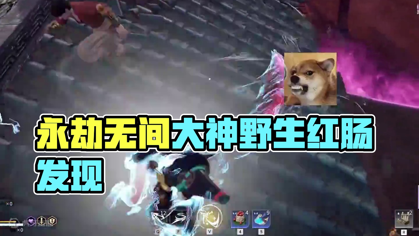 发现一个野生红肠！ #永劫无间大神 #劫无止境 #永劫无间