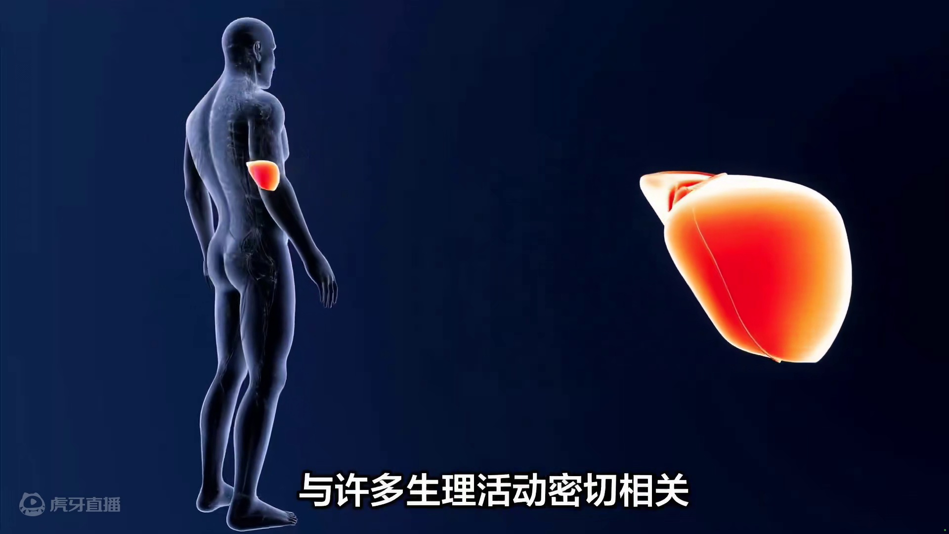 肝不好，真的会变丑！