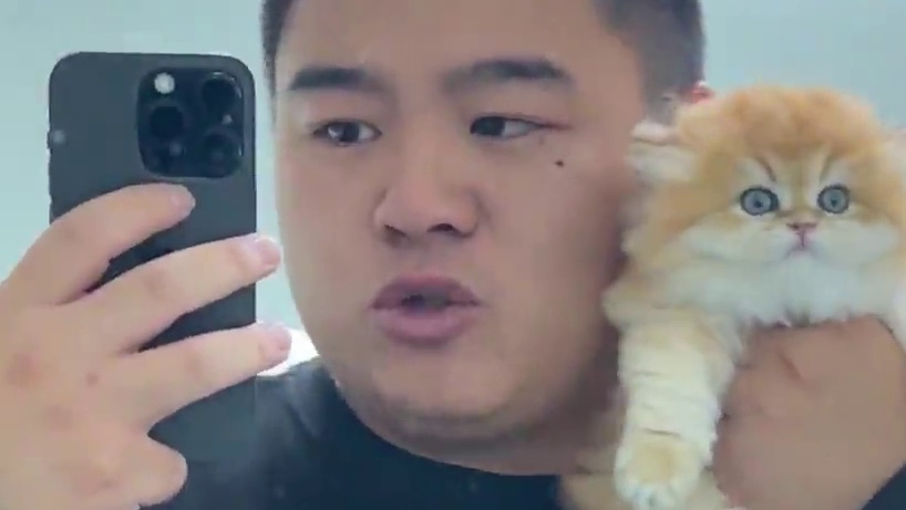 漂亮的小猫当然得多亲呀 发去新家就亲不到咯~#壮实说猫 #熊版金渐层