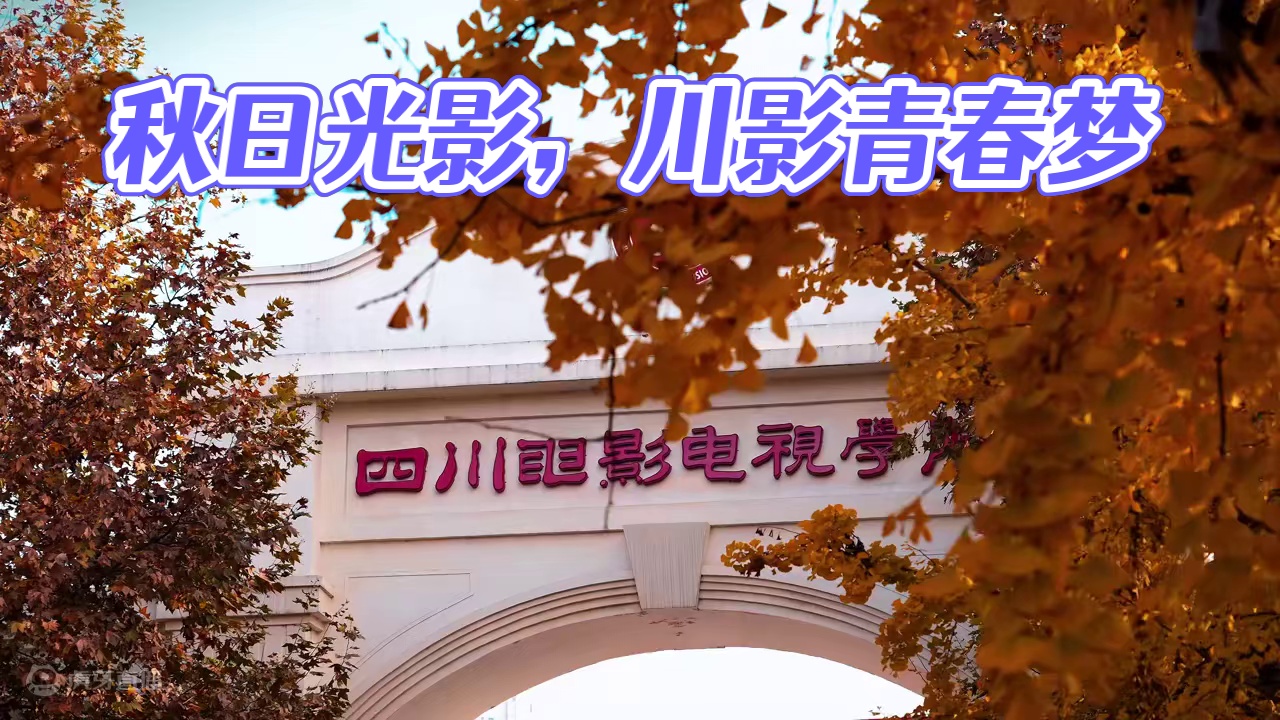 秋日斑驳的光影跳跃着，如同川影的青春梦想在时光中闪烁 #四川电影电视学院#深秋 #秋天 #治愈 #大