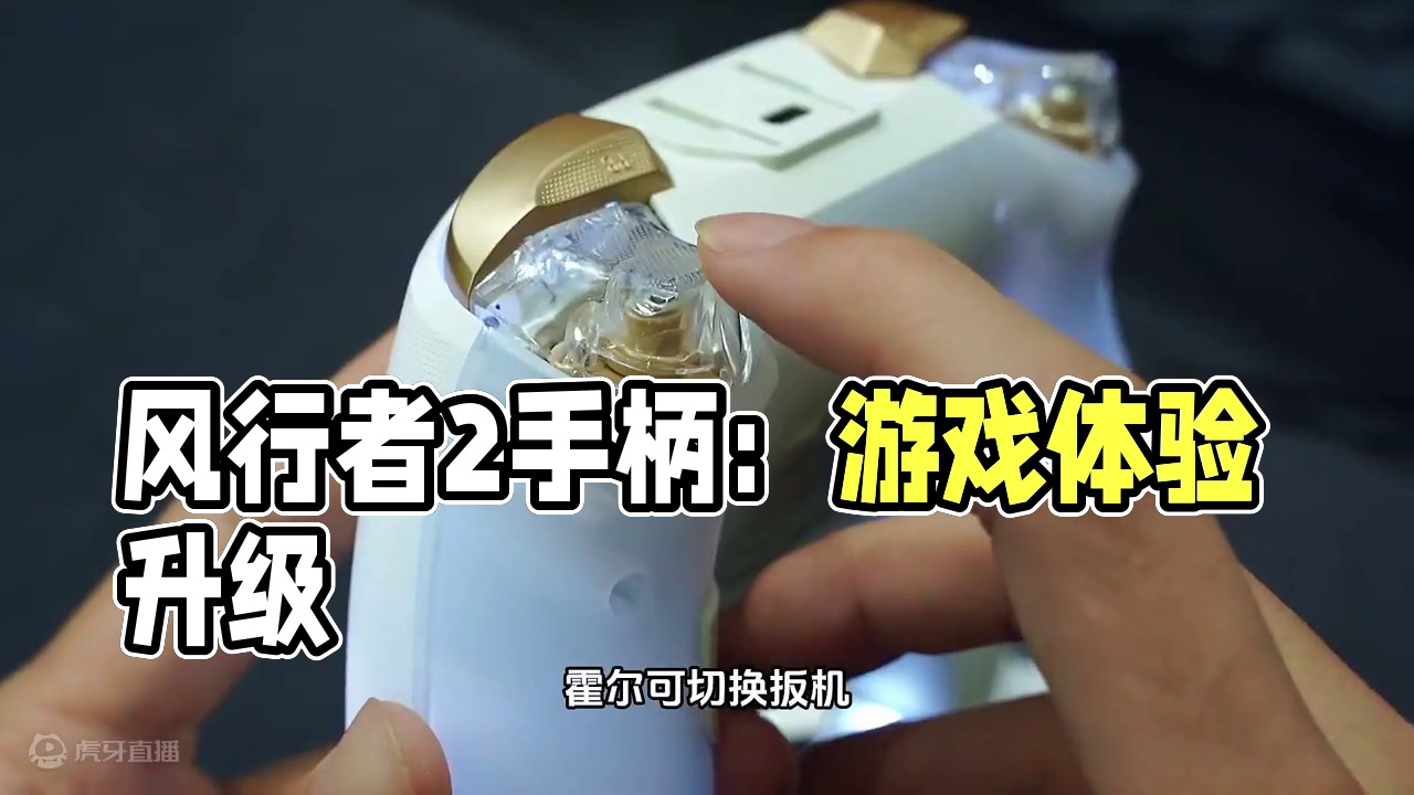 这才是当代年轻人喜欢的游戏手柄！风行者2 #手柄 #手柄推荐 #游戏手柄 #盖世小鸡