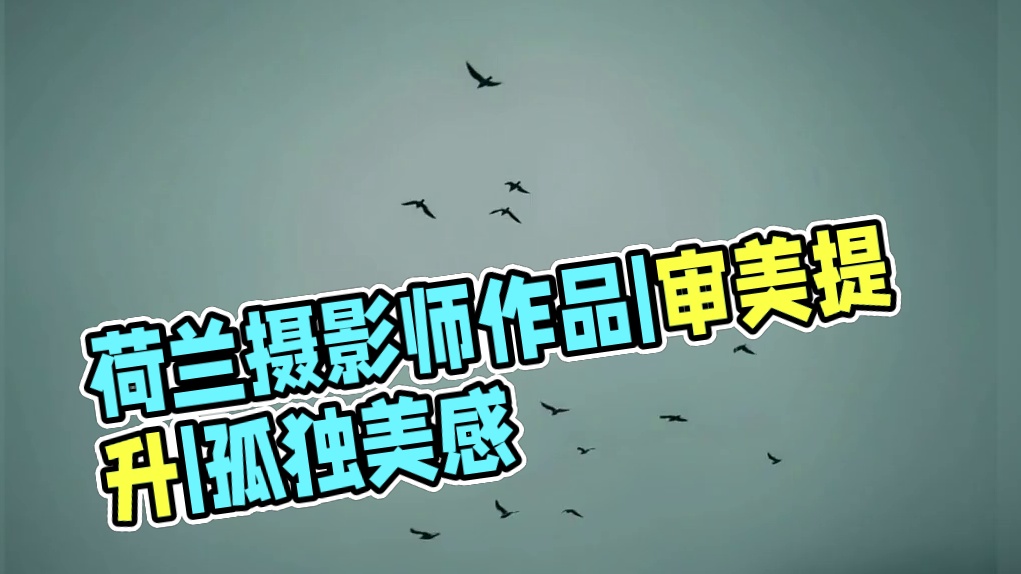 审美提升|DAY.162|Bill Thanopoulos 荷兰摄影师Bill Thanopoulo