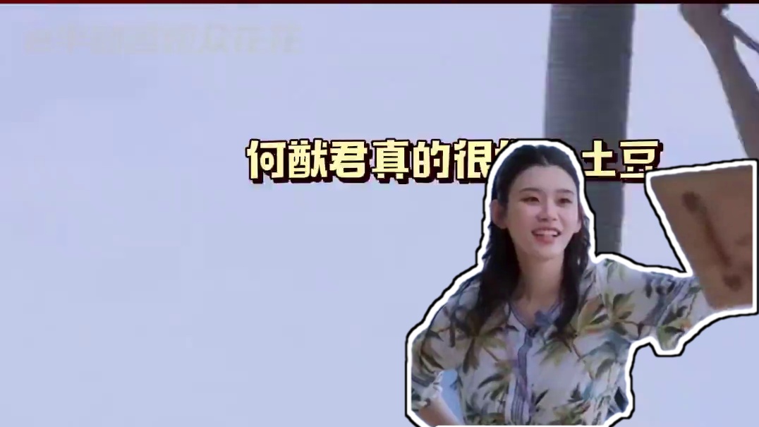 奚梦瑶对小金土豆的爱永远拿得出手#奚梦瑶 #何猷君 #西柚cp