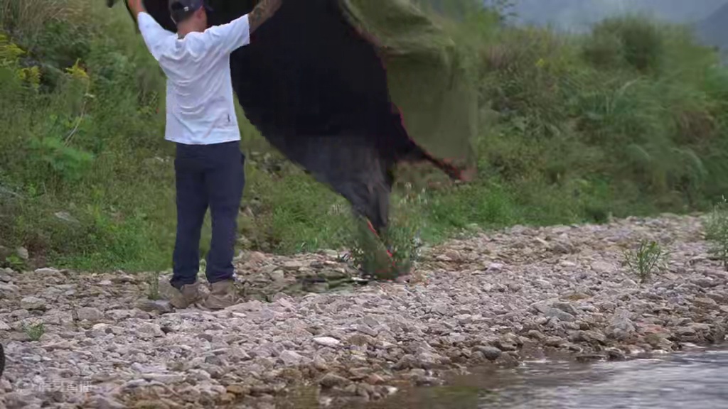 我的轻量化露营｜一个箱子全部搞定 #露营装备 #户外露营 #轻量化露营 #被户外硬控的瞬间 #户外露