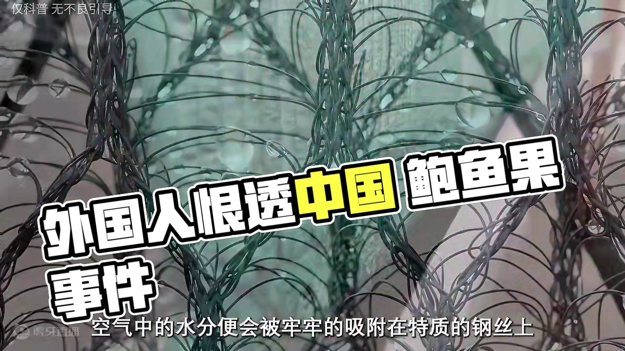 看完之后才知道为什么老外为什么恨透了我们#鲍鱼果 #坚果 #新疆