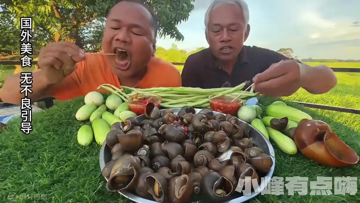 香甜福寿螺，老马跟老丈人吃的是真香呀 #户外美食 #咀嚼音 #咀嚼音解压 #美食分享