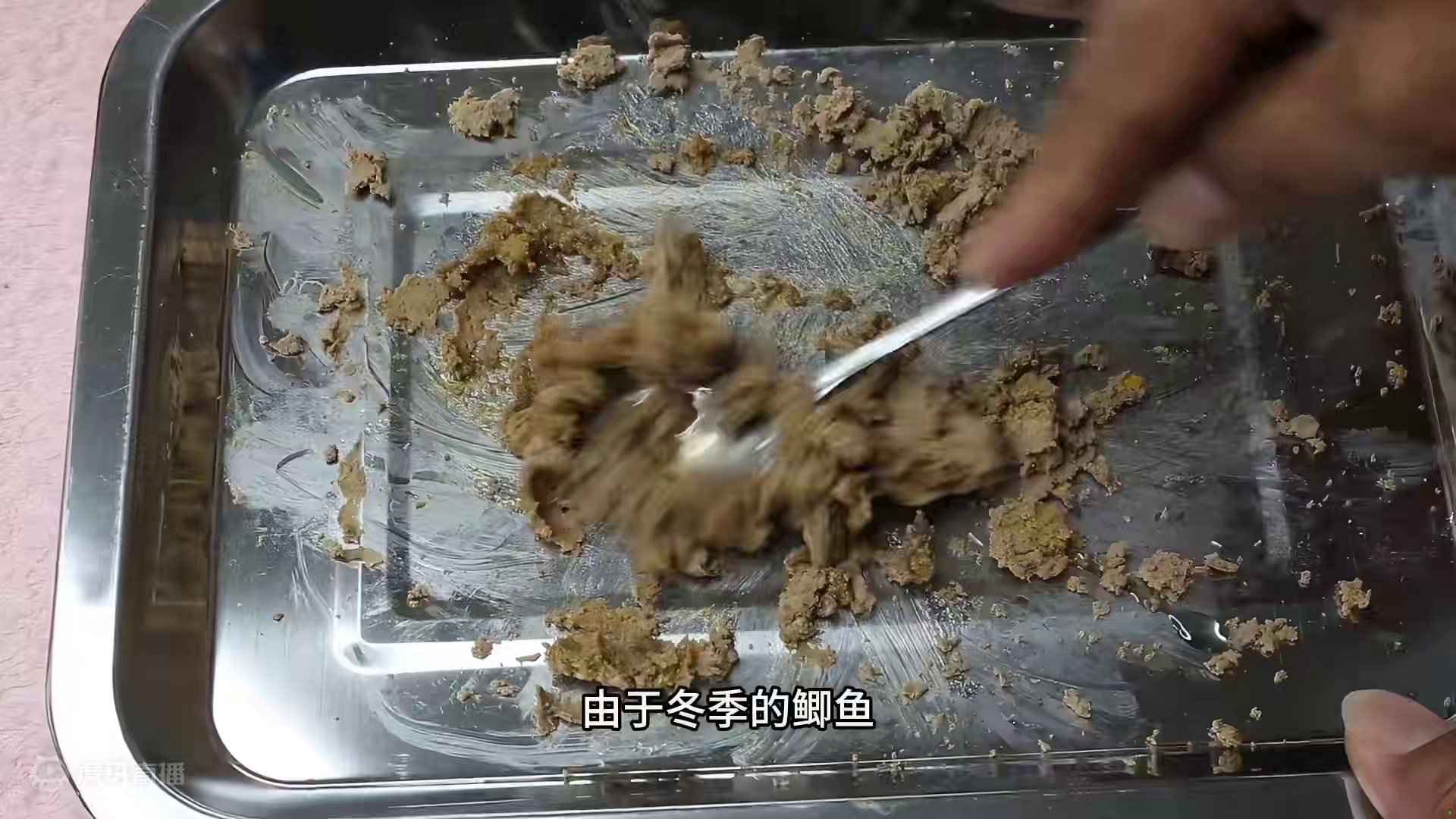 冬季钓大板鲫神器：鸭肝面饵，告别恶心蚯蚓红虫 冬季钓大板鲫神器：鸭肝面饵，告别恶心蚯蚓红虫#自制饵料