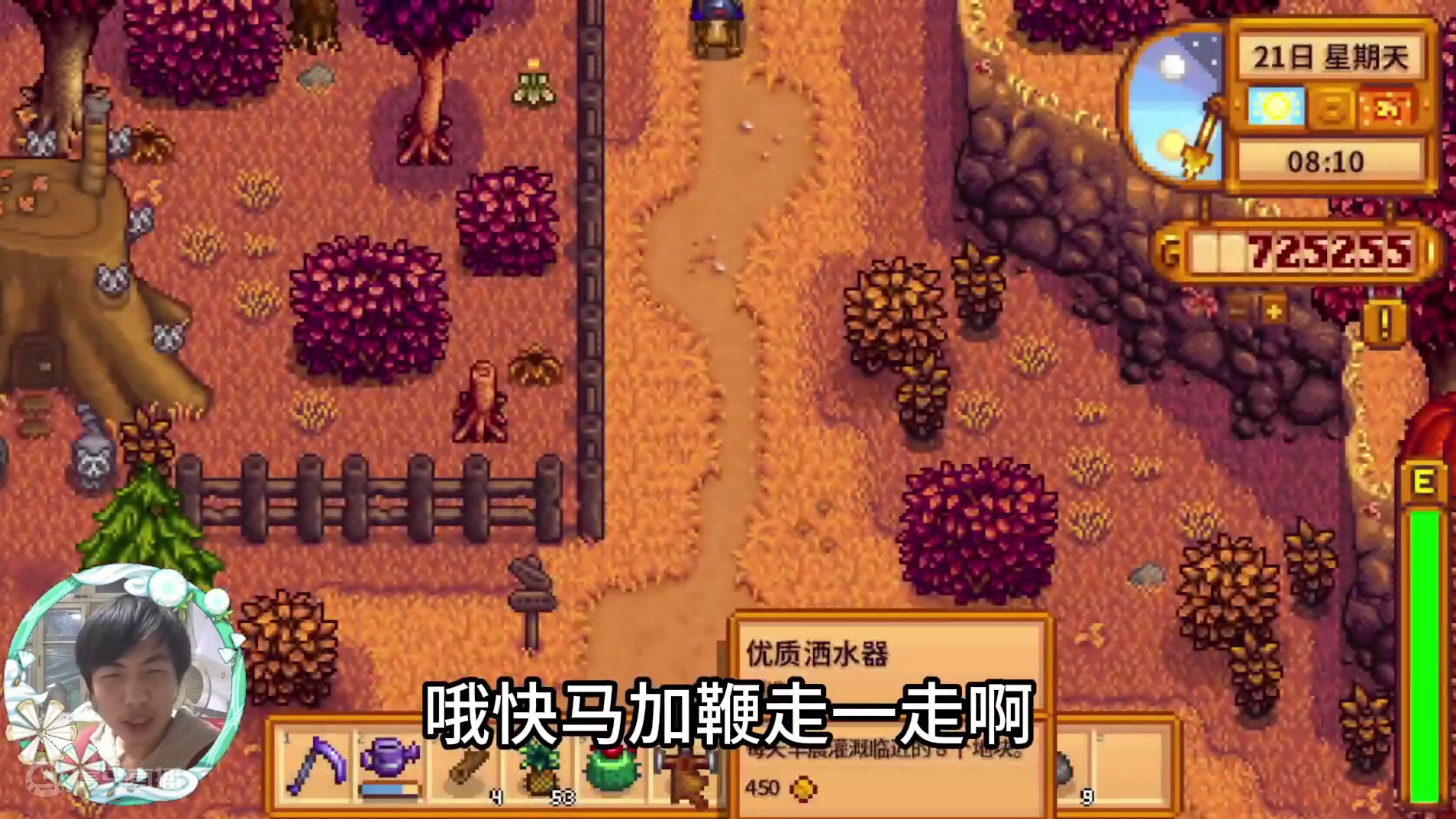 【星露谷物语】菠萝育种，给罗宾过生日！