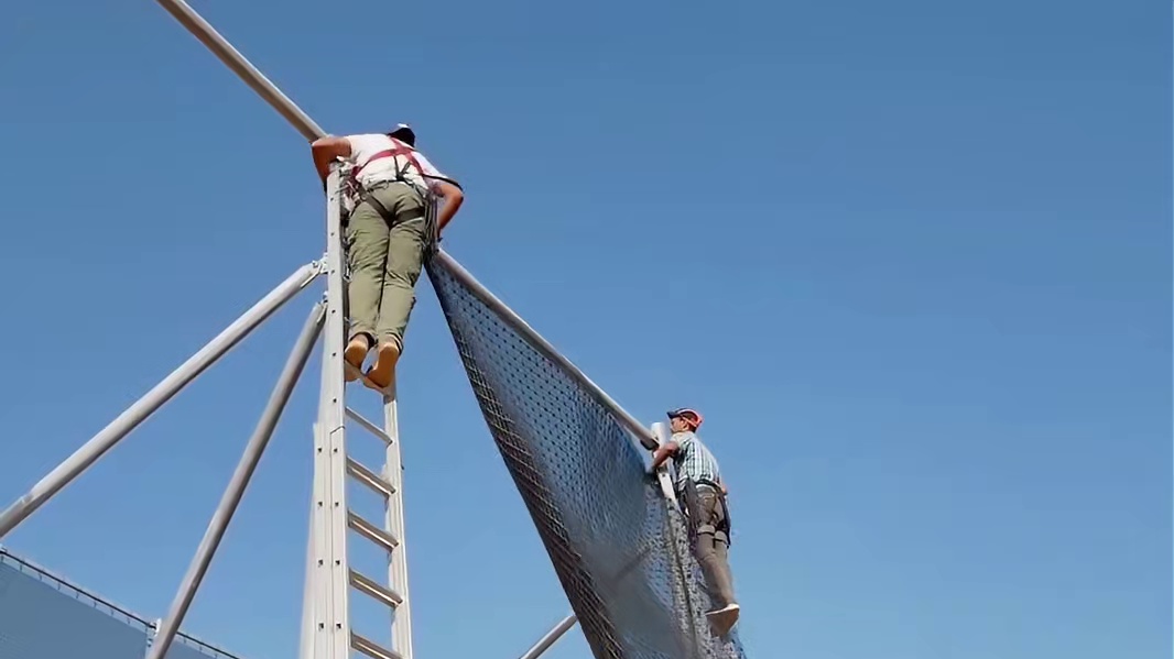 小小的一颗果子却难倒了一堆老外，却被我国智慧的劳动人民一招解决！#沙棘原浆 #沙棘果 #沙棘