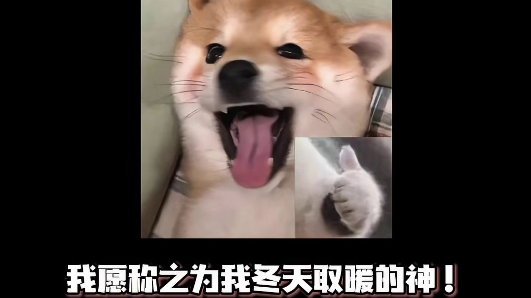 好好好，这个冬天我不允许你们被冻到！ #国货 #好物种草 #美的超薄风暖取暖器#美的取暖器 #取暖器