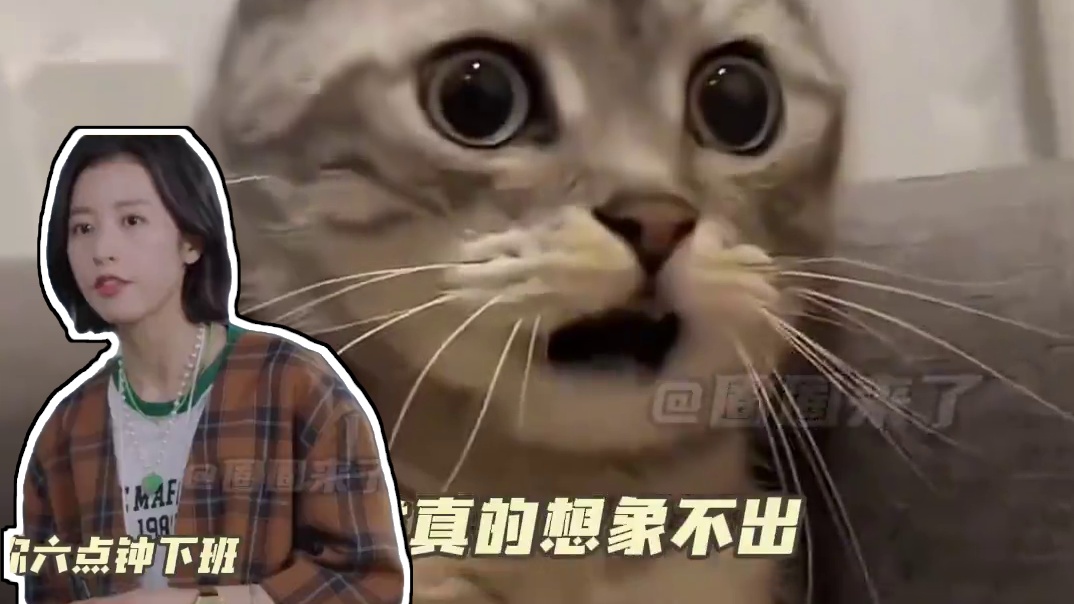 虽然以前他们舒服，但也真赚钱，现在呢，又努力又赚不到钱#当代打工人的现状