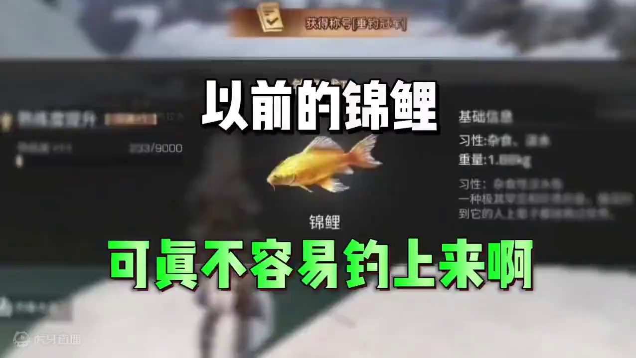 以前的锦鲤，可真不容易钓上来啊 #明日之后 #明日之后赚金计划 #游戏日常