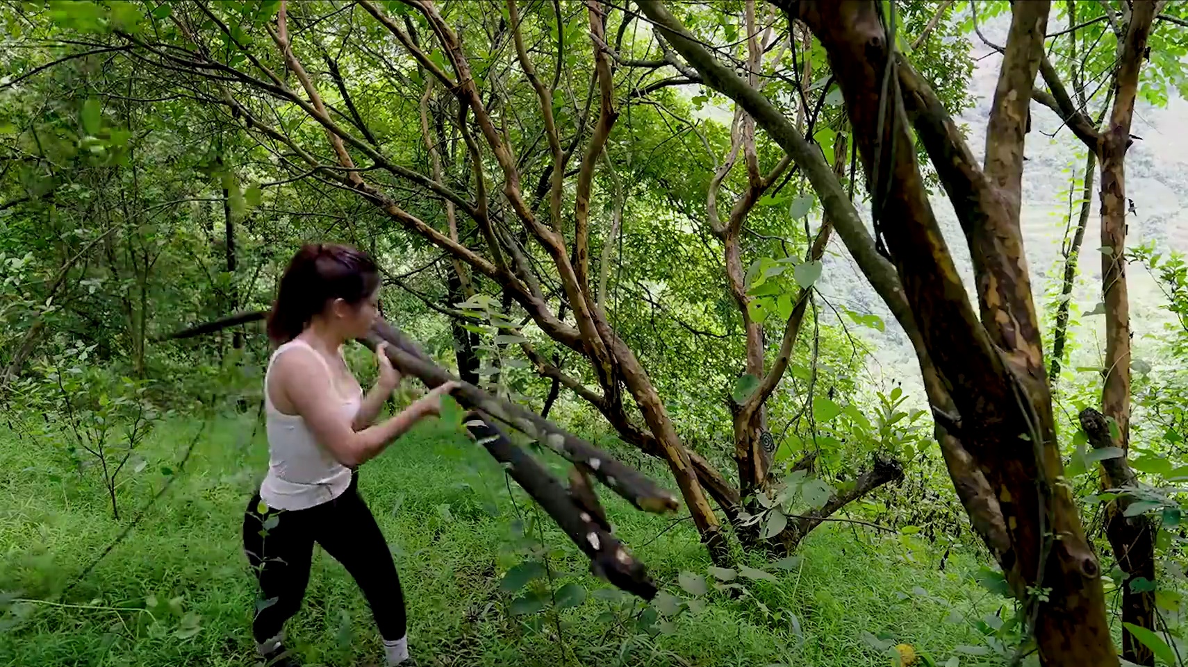 小妹沉浸式野外建造 #野外建造#户外露营