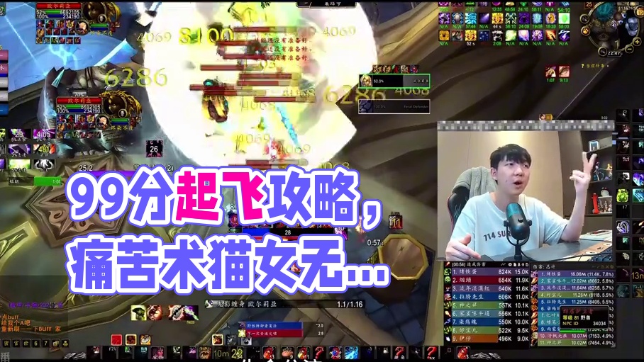 WLK痛苦术猫女99分起飞攻略野团/无灌注/反恐/激活 #魔兽世界怀旧服 #巫妖王之怒 #痛苦术 #