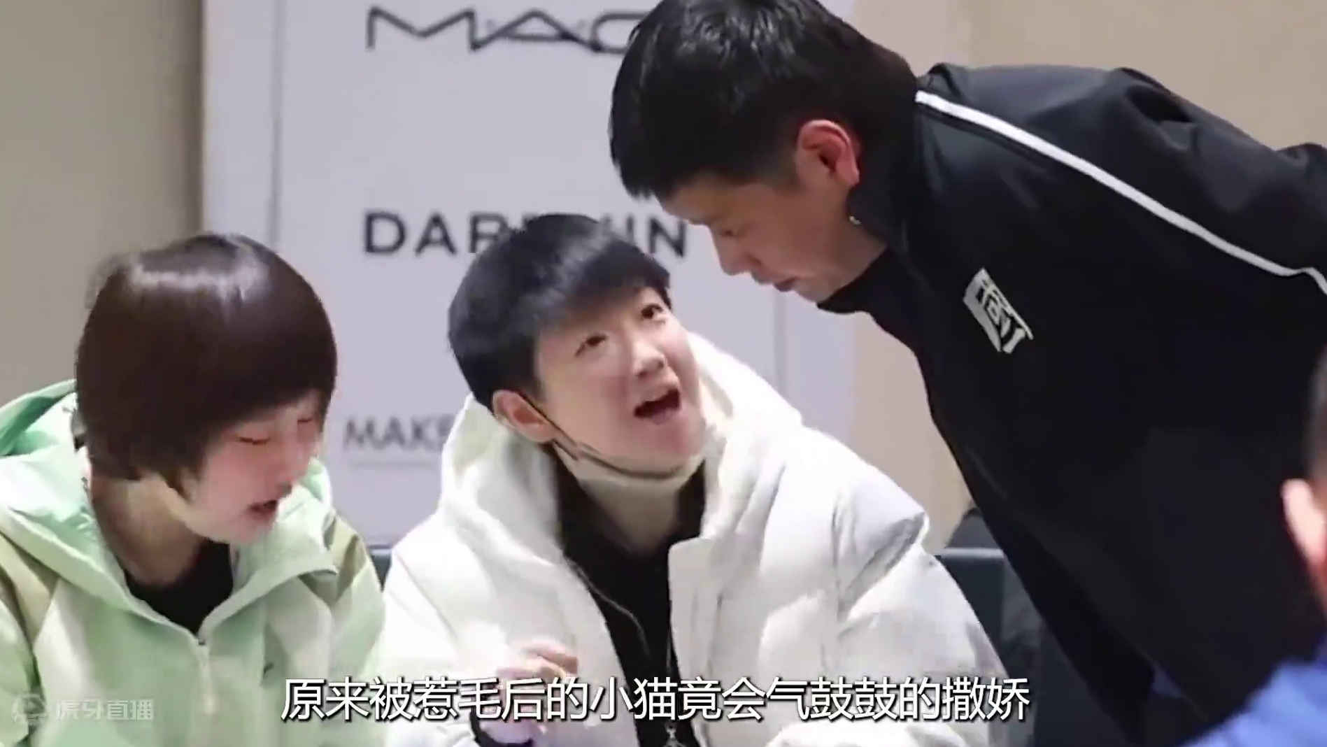 救命！怎么小白球在王楚钦手里就变成了逗猫棒，逗莎莎不要太宠了 #乒乓球 #中国乒乓 #世界冠军 #体