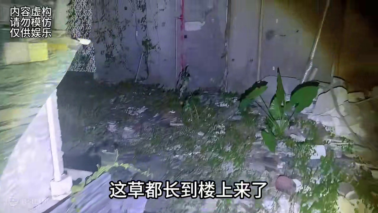 表哥半夜探险古宅，差点被吓哭了 #恐怖故事 #探险 #灵异事件