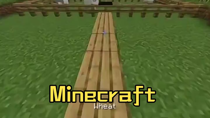 #我的世界 #Minecraft