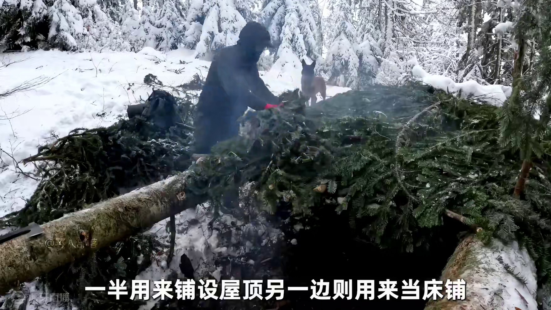 谁能在失眠的时候刷上一集解压又好玩的雪地露营呢 #荒野建造 #野外生存 #户外 #野外建造