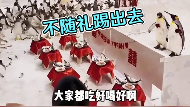 不随礼的踢出去