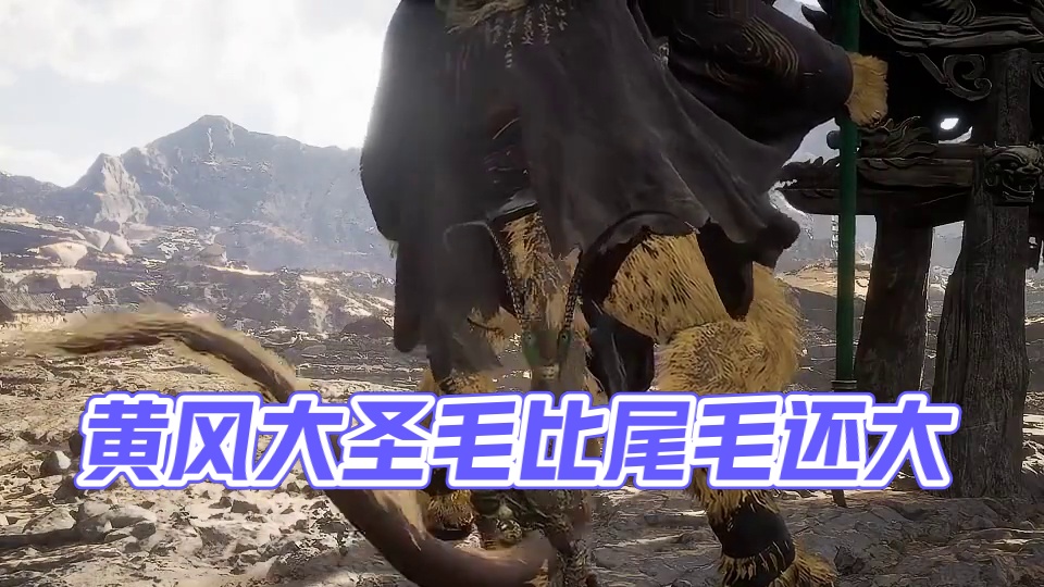 黑神话悟空 这样的黄风大圣 #关于黑神话我有自己的玩法 #steam游戏 #我的游戏日常 #黑神话玩