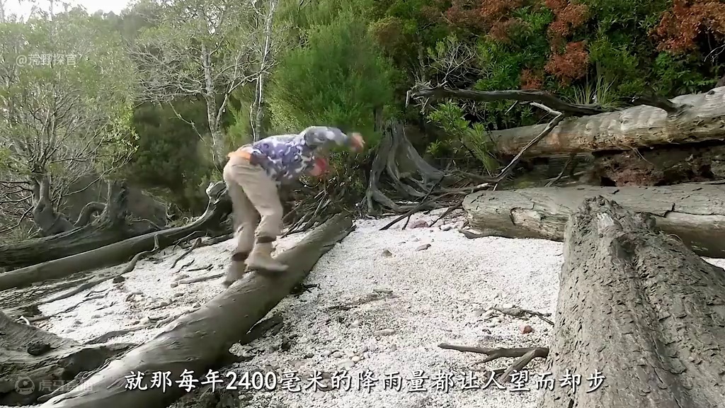 荒野独居  澳洲版 作为全网最刺激的野外求生节目，荒野独居澳洲版他来了，10名生存高手被投放到澳洲东