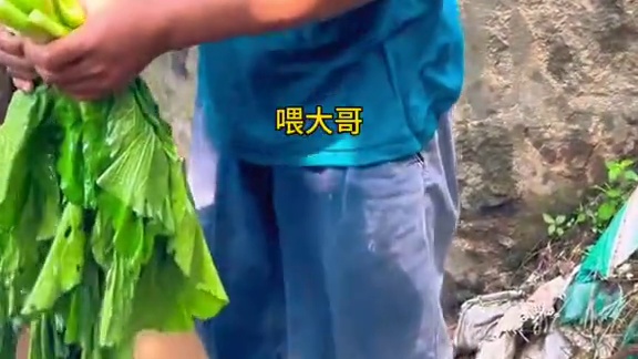 山村厨神上线 今天分享一道剁椒鱼头 让您在家也能吃到剁椒鱼头 #农村美食 #农村生活 #乡村味道 #