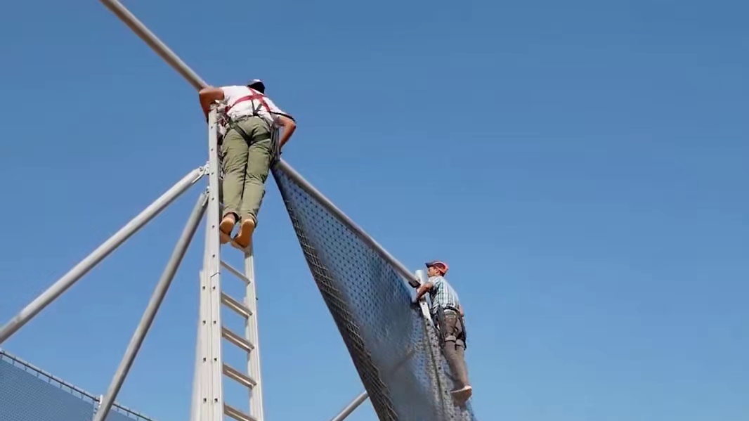 小小的一颗果子却难倒了一堆老外，却被我国智慧的劳动人民一招解决！#沙棘原浆 #沙棘果 #沙棘