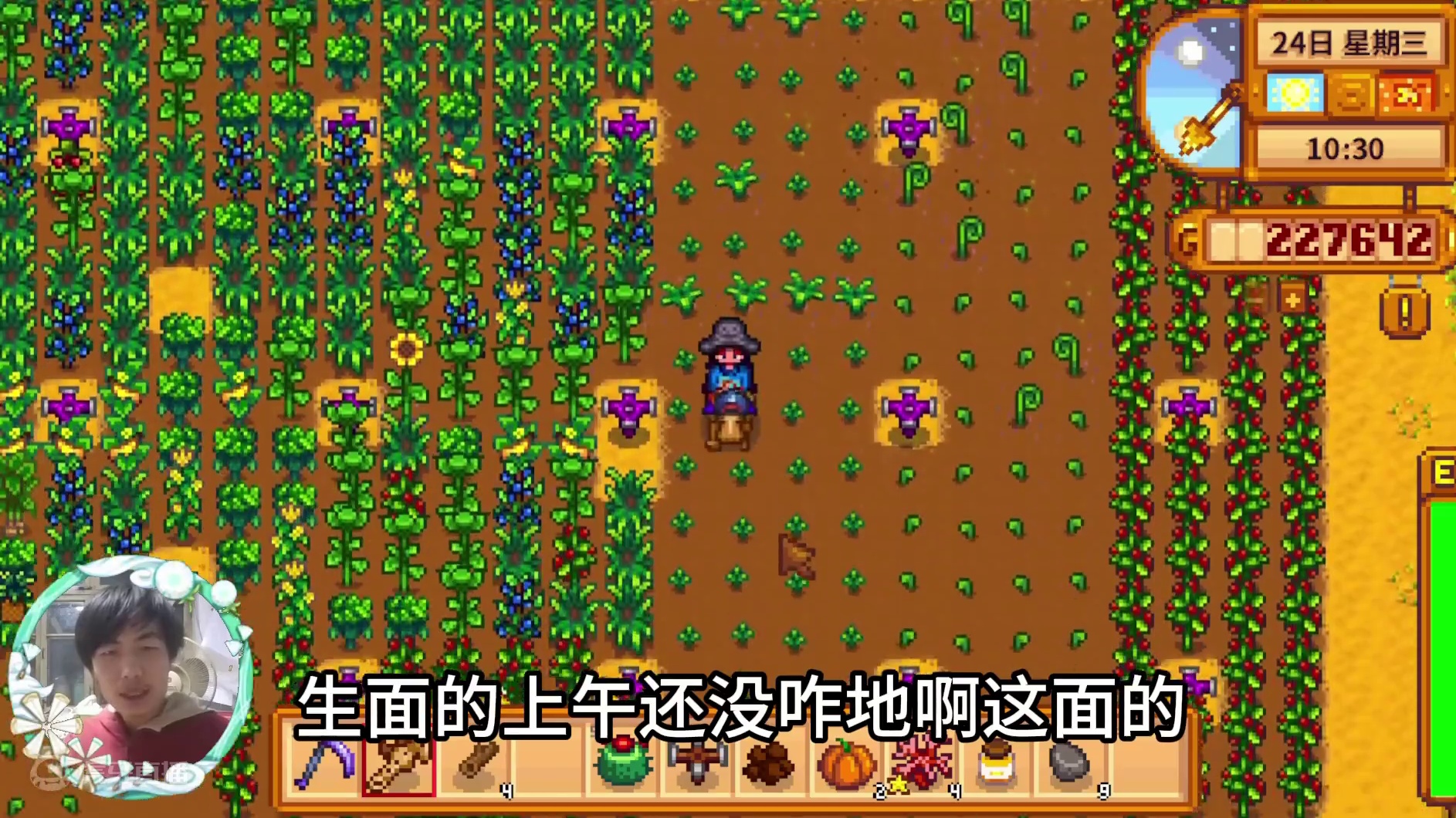 【星露谷物语】收菜，收菜，还是收菜！