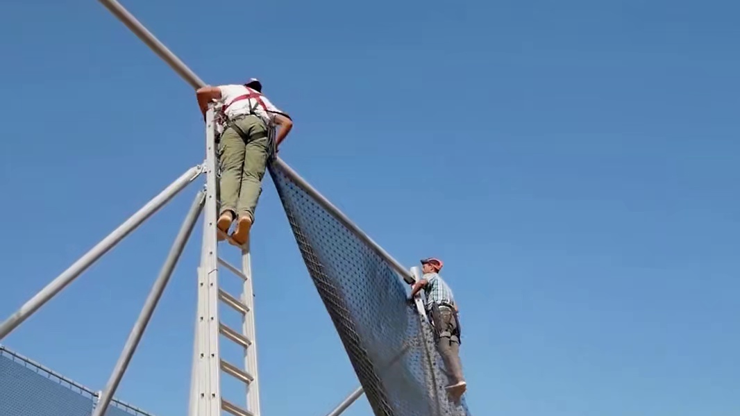 小小的一颗果子却难倒了一堆老外，却被我国智慧的劳动人民一招解决！#沙棘原浆 #沙棘果 #沙棘
