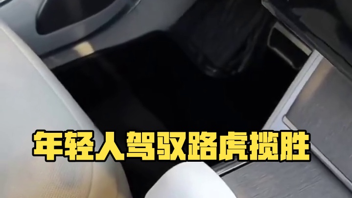 年少有为开路虎，年少轻狂开创世！#路虎揽胜 #揽胜