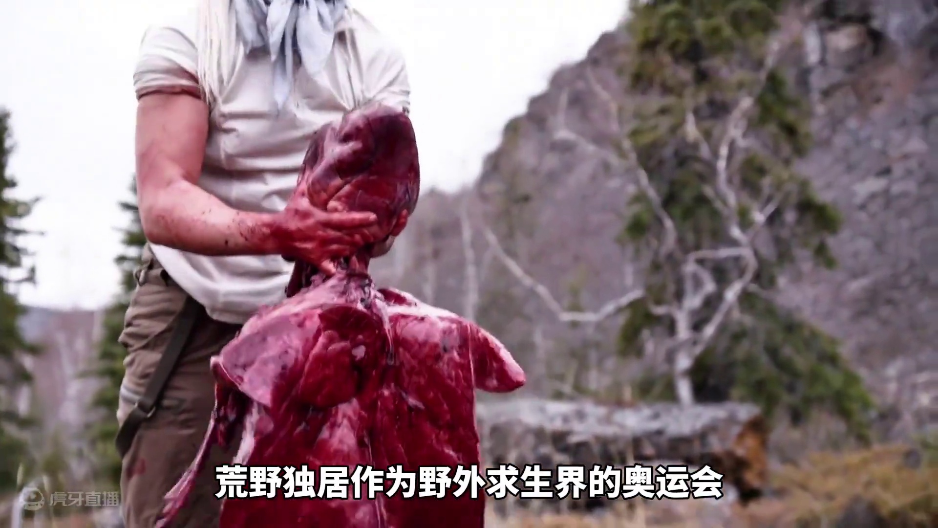 独居第11季又有选手遭遇驼鹿，捕获一米长大鱼，铁锅炖白靴兔肉#荒野独居 #荒野求生 #野外生存