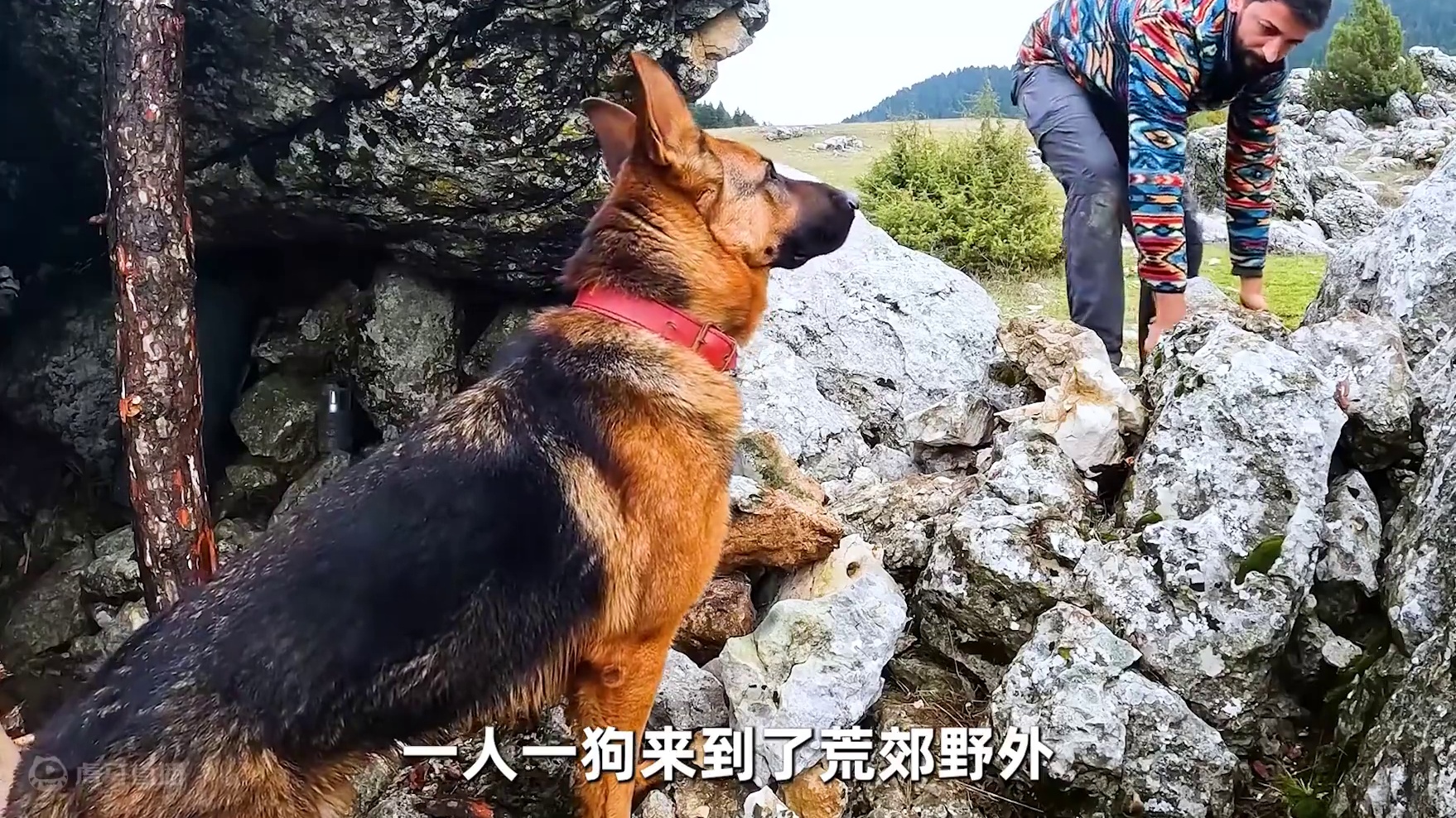 这才是真正令人向往的生活，男人为了远离城市的喧嚣来到野外露营 #野外建造 #荒野求生 #野外生存 #