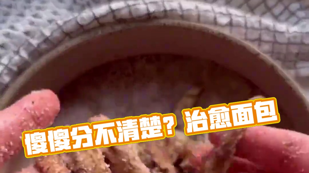 面条？面包？傻傻分不清楚 #治愈系美食 #面包 #新鲜出炉