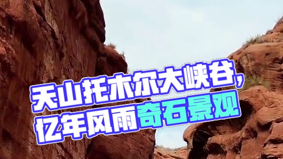 天山托木尔大峡谷，沟壑纵横，黄沙漫漫，经过亿万年风雨侵蚀形成的嶙峋怪石和五彩纷呈的地貌，令人叹为观止