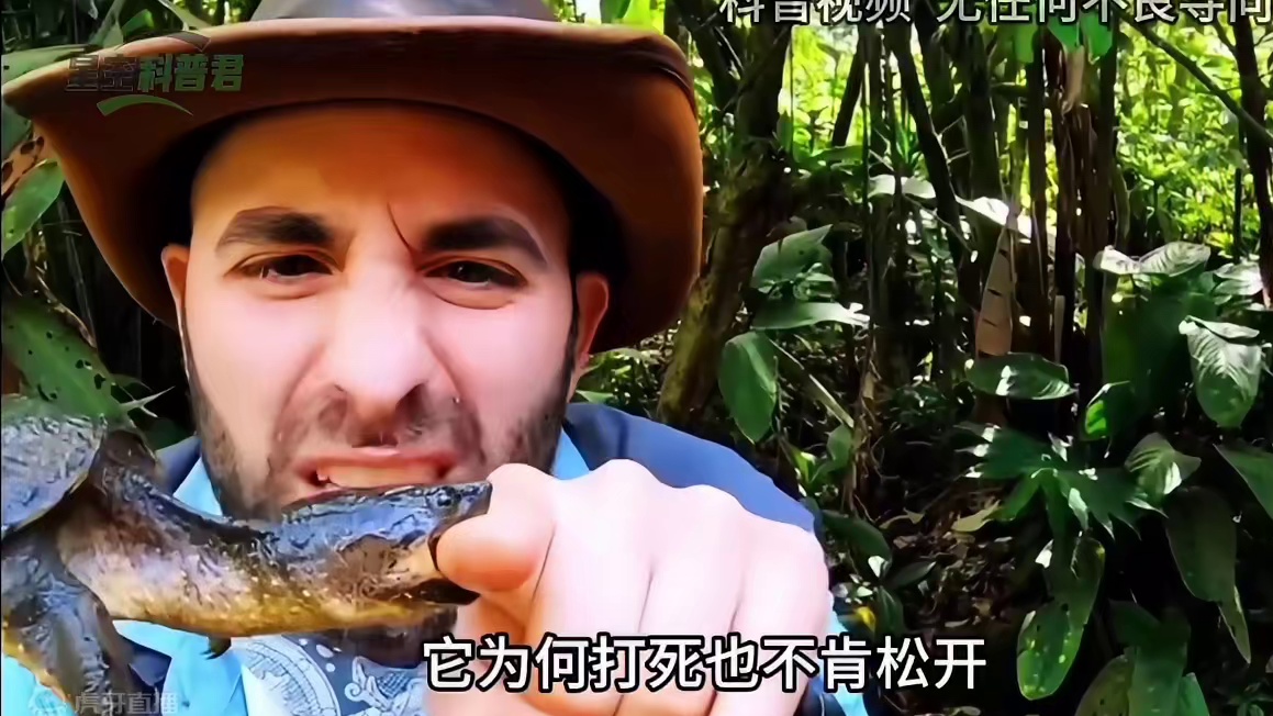 人被乌龟咬住手，它为何打死也不肯松开，该怎样让它松口？